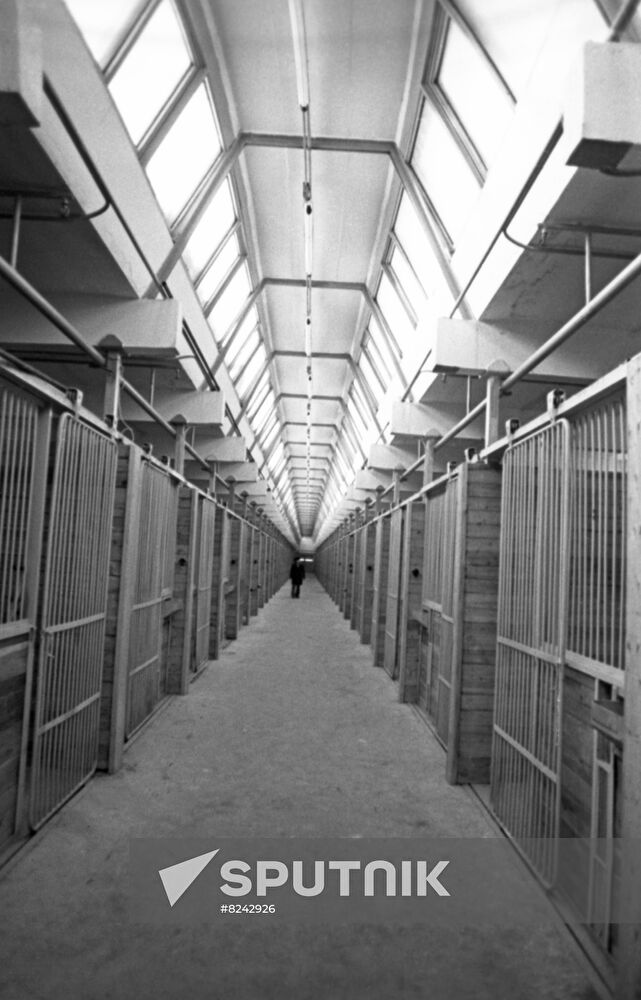 Stables of Bitsa Equestrian Complex