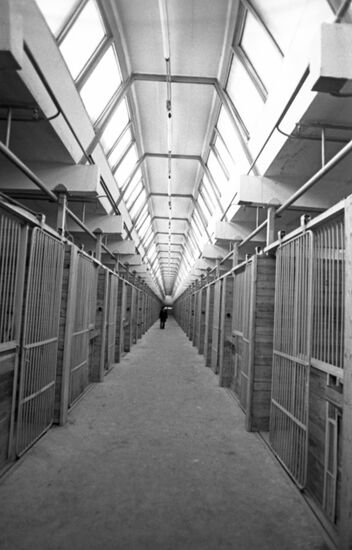 Stables of Bitsa Equestrian Complex