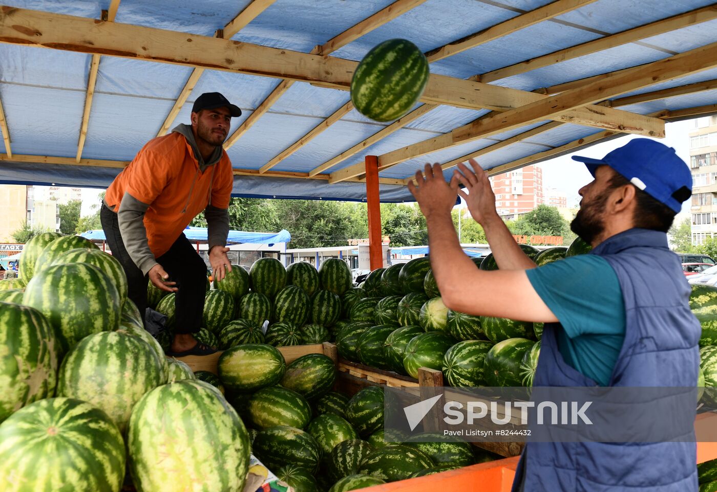 Russia Agriculture Watermelons Season