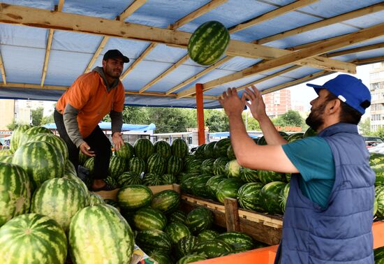 Russia Agriculture Watermelons Season