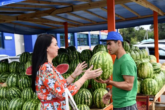 Russia Agriculture Watermelons Season