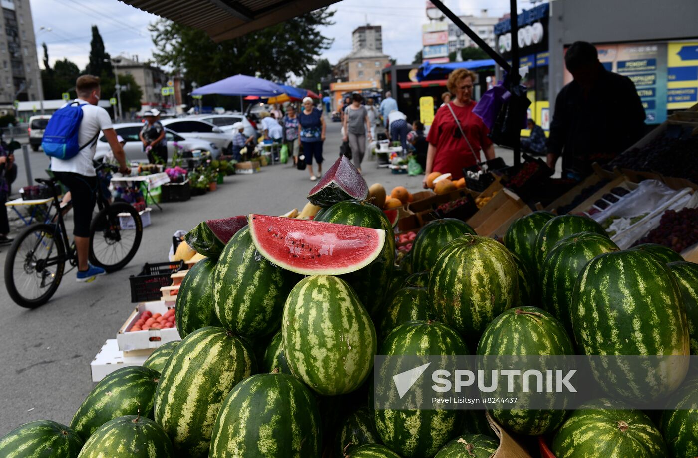 Russia Agriculture Watermelons Season