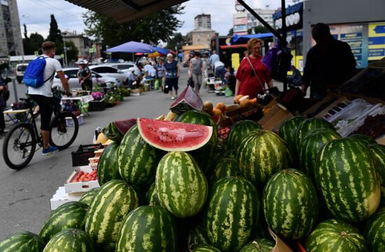 Russia Agriculture Watermelons Season