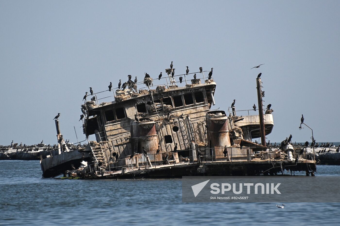 DPR Russia Ukraine Military Operation Mariupol Port