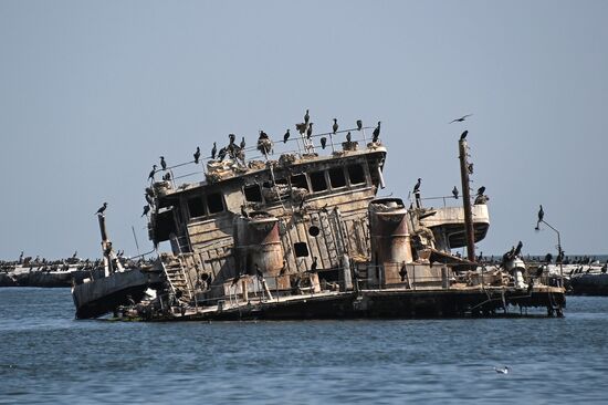 DPR Russia Ukraine Military Operation Mariupol Port