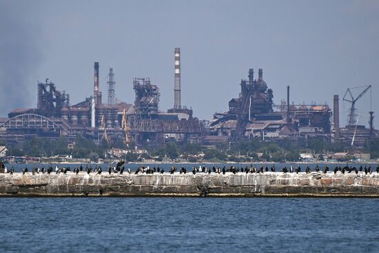 DPR Russia Ukraine Military Operation Mariupol Port