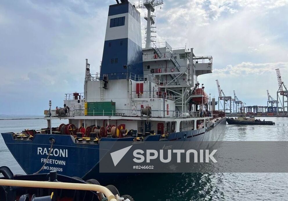 Ukraine Grain Deal First Shipment