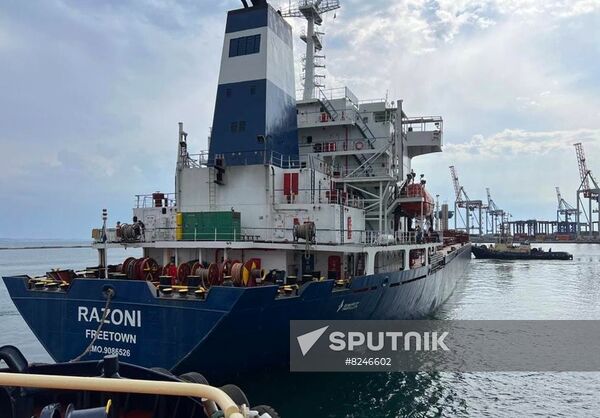 Ukraine Grain Deal First Shipment