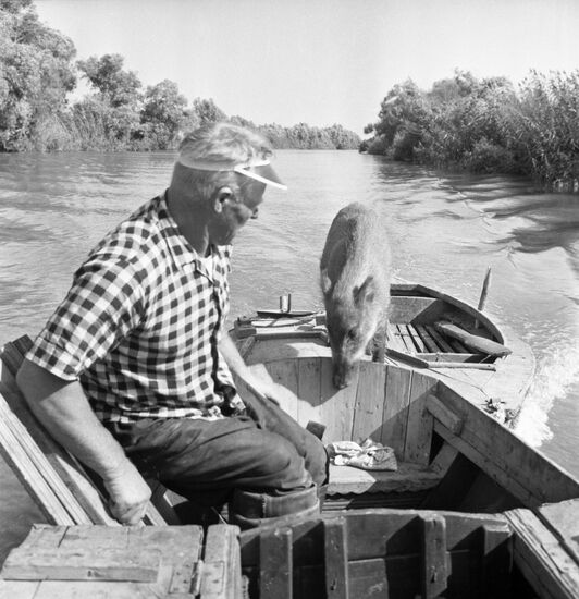 Astrakhan State Reserve