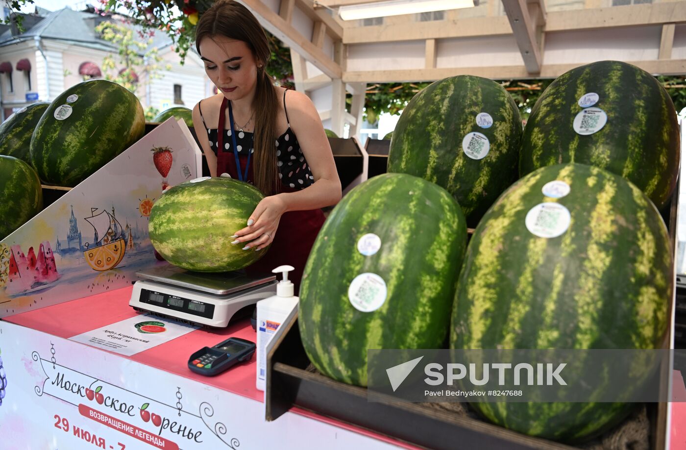 Russia Agriculture Watermelons Season