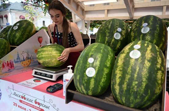Russia Agriculture Watermelons Season