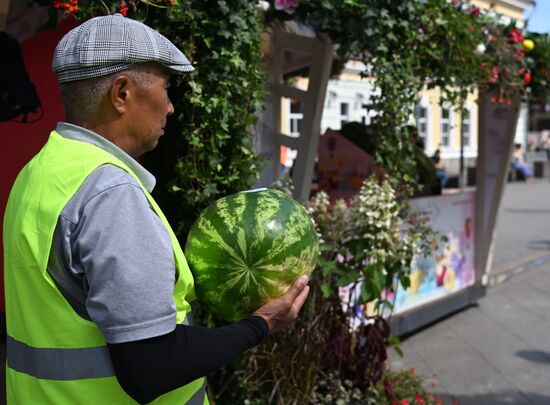 Russia Agriculture Watermelons Season