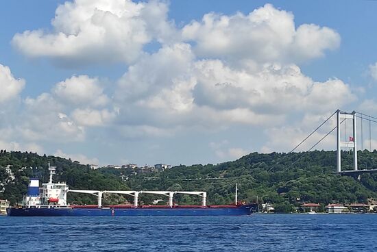 Turkey Grain Deal First Shipment