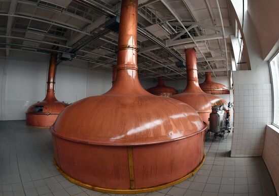 Russia Brewing Industry