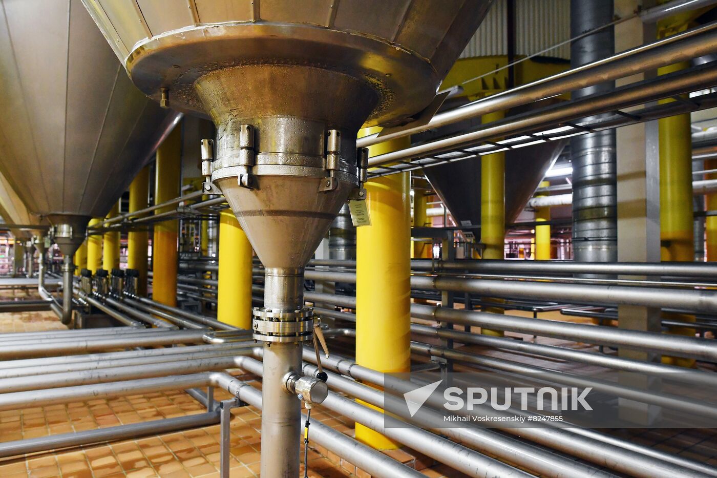 Russia Brewing Industry