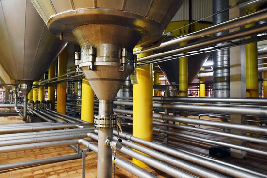 Russia Brewing Industry