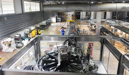 Russia Brewing Industry