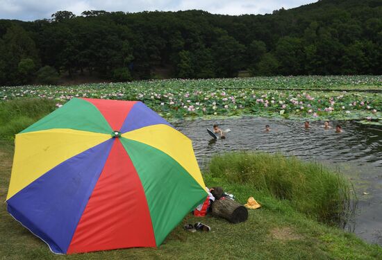 Russia Environment Lotus Blooming