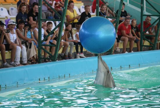 Ukraine Russia Military Operation Kids Camp