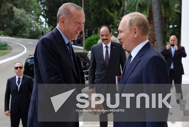 Russian President Vladimir Putin welcomes Turkish President Recep Tayyip Erdogan before a meeting in the Black Sea resort of Sochi, Russia. Location: Russia, Sochi. Author: Vyacheslav Prokofyev/Sputnik. Russia Turkey
