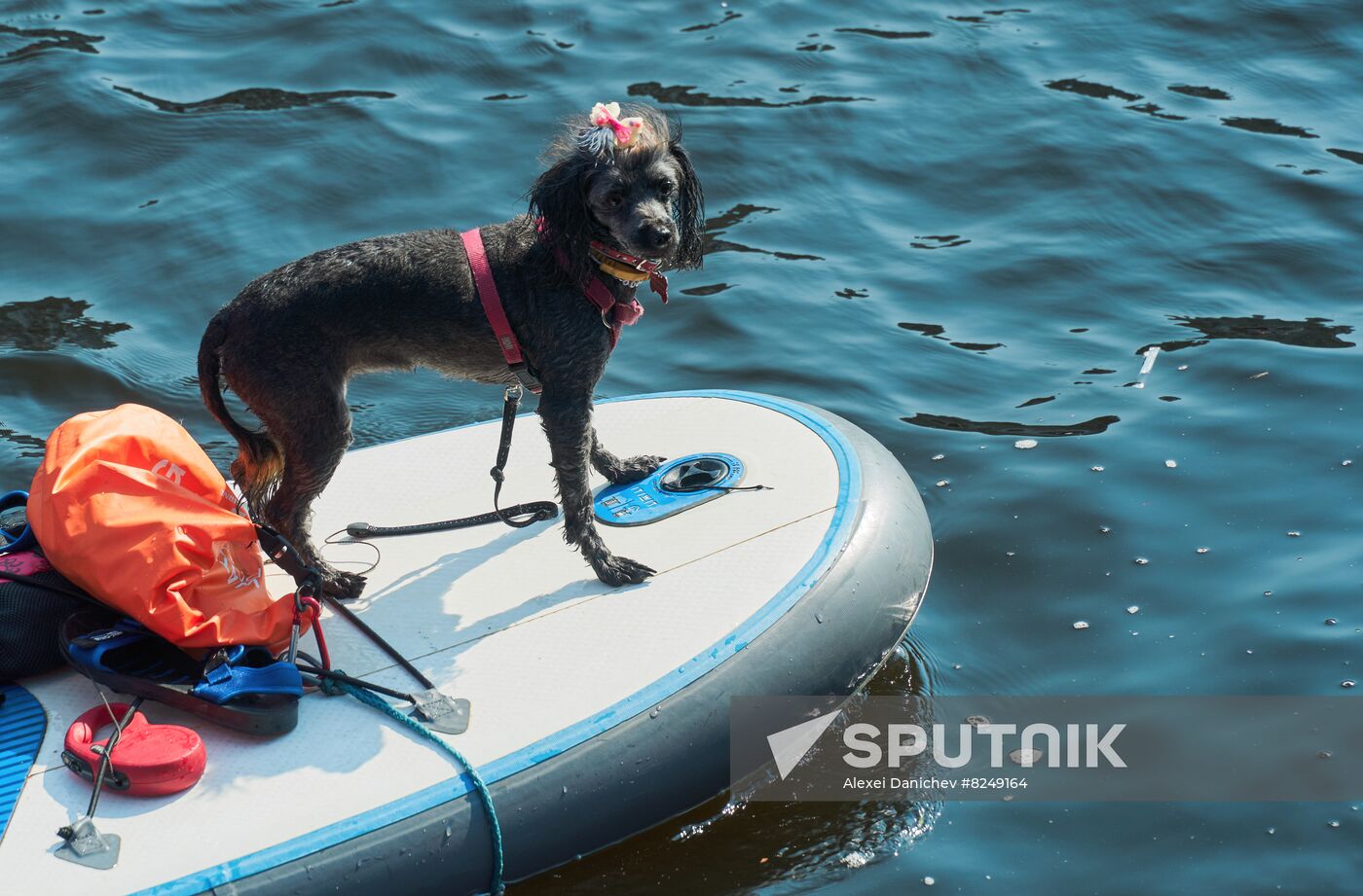 Russia SUP Boarding Festival