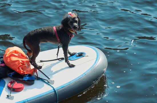 Russia SUP Boarding Festival