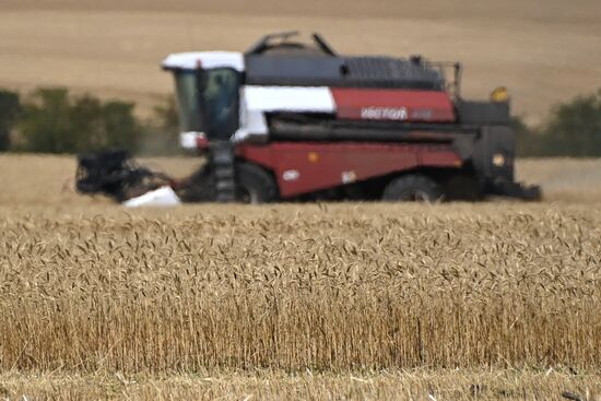 DPR Russia Ukraine Military Operation Wheat Harvesting