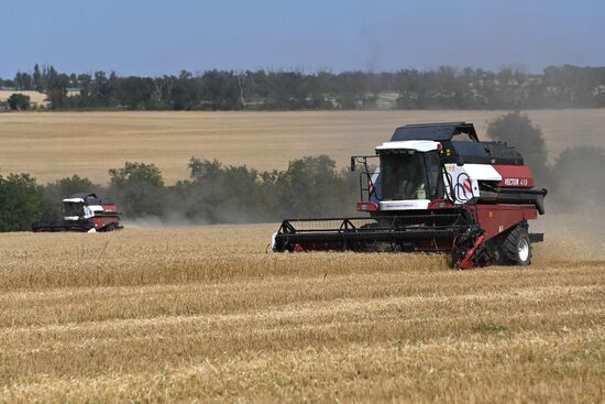 DPR Russia Ukraine Military Operation Wheat Harvesting