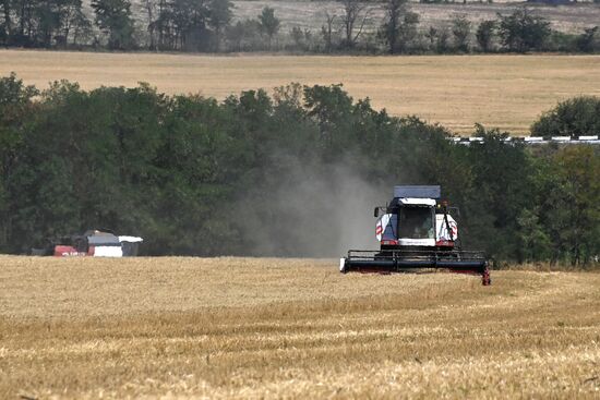 DPR Russia Ukraine Military Operation Wheat Harvesting