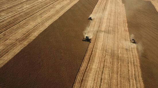 DPR Russia Ukraine Military Operation Wheat Harvesting