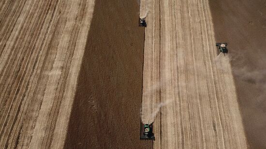 DPR Russia Ukraine Military Operation Wheat Harvesting