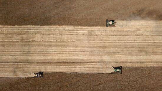 DPR Russia Ukraine Military Operation Wheat Harvesting