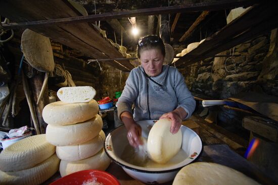 Russia North Caucasus Cheese Production
