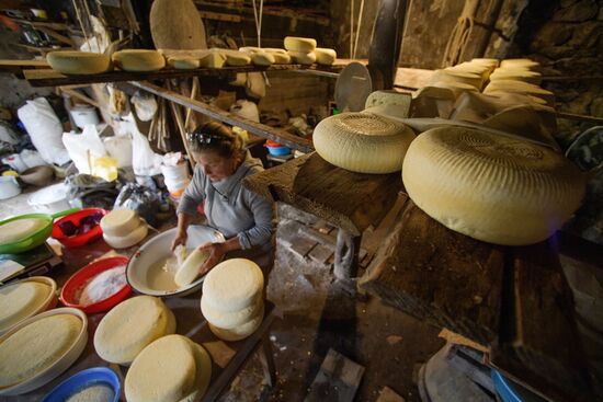 Russia North Caucasus Cheese Production