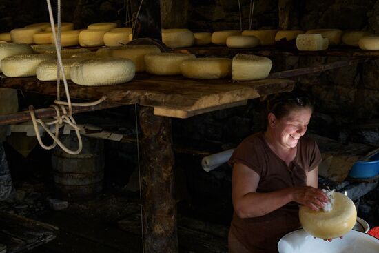 Russia North Caucasus Cheese Production