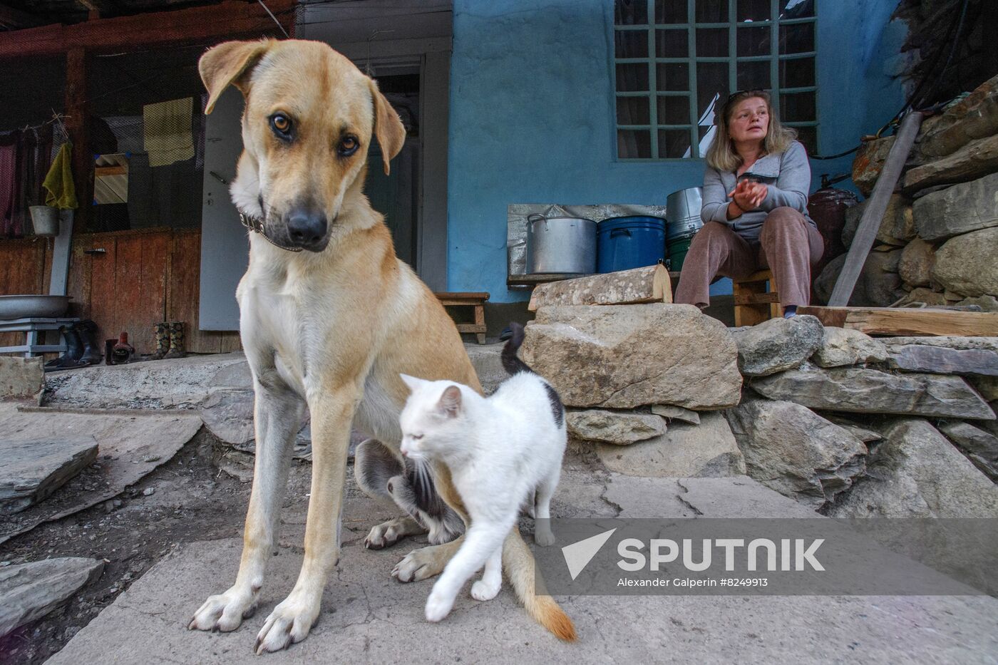 Russia North Caucasus Cheese Production