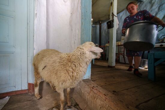 Russia North Caucasus Cheese Production