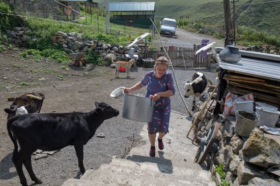 Russia North Caucasus Cheese Production