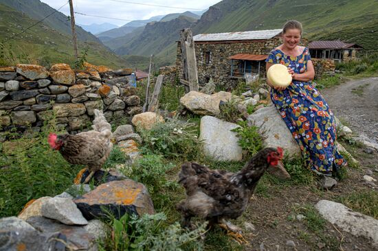 Russia North Caucasus Cheese Production