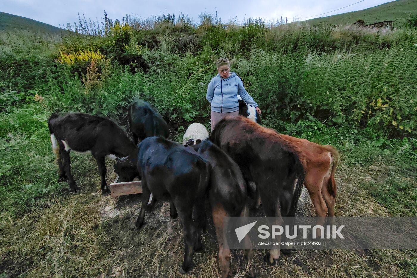 Russia North Caucasus Cheese Production