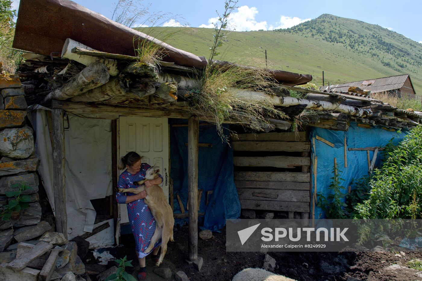 Russia North Caucasus Cheese Production