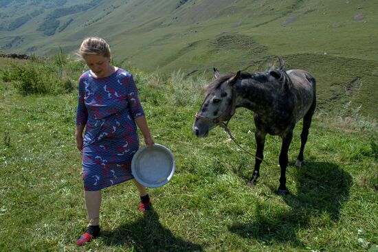Russia North Caucasus Cheese Production