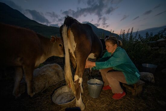 Russia North Caucasus Cheese Production