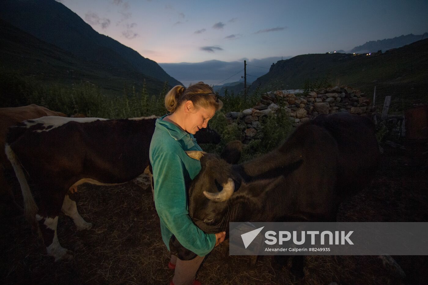 Russia North Caucasus Cheese Production