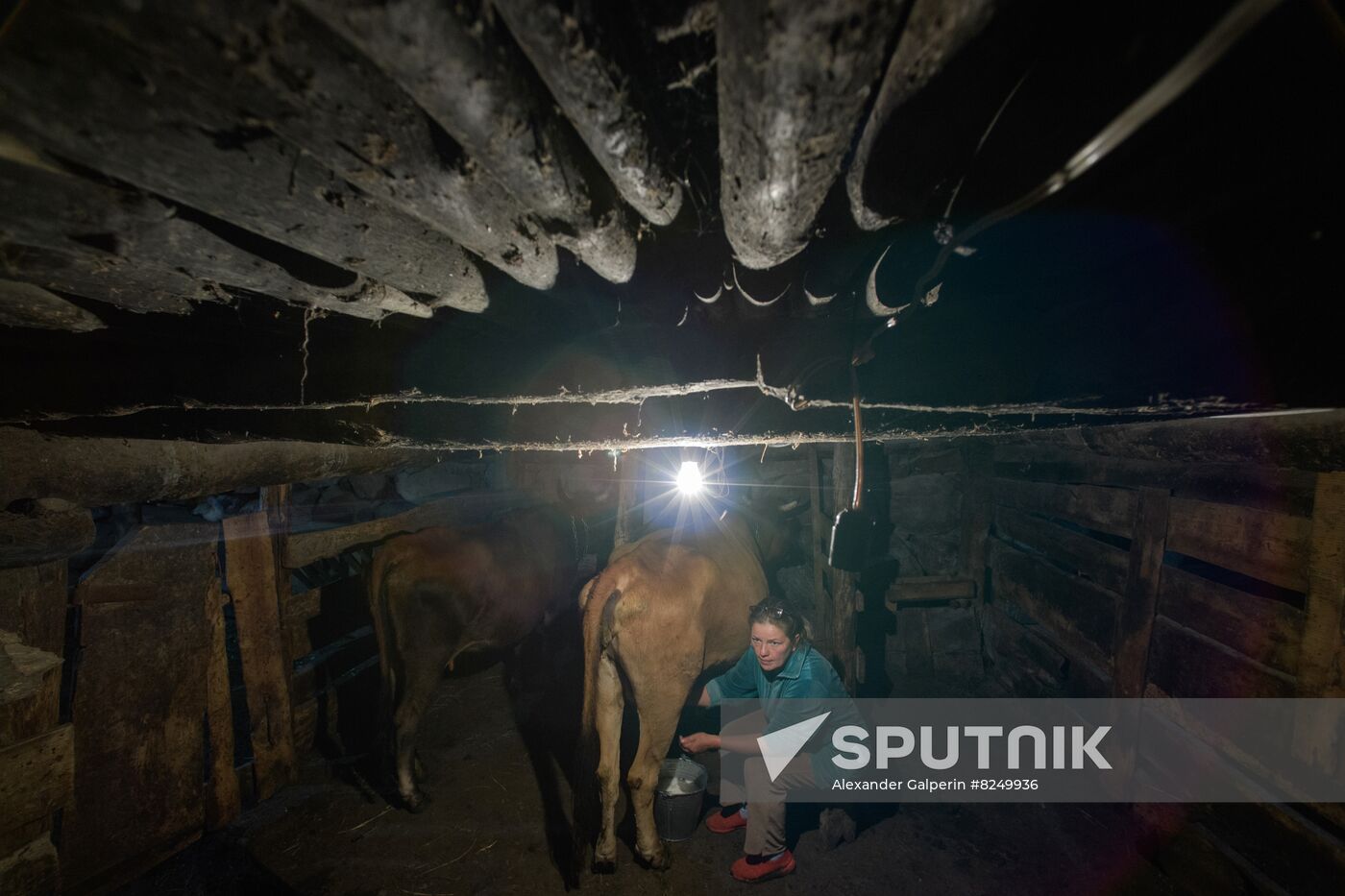 Russia North Caucasus Cheese Production