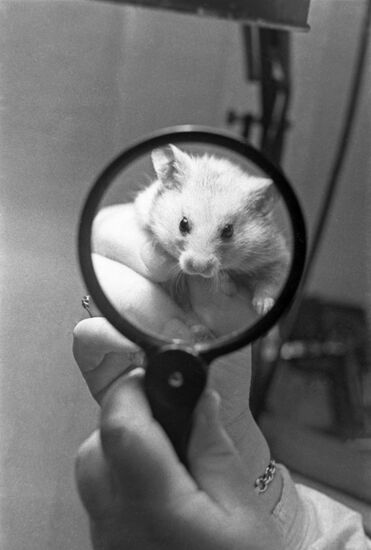 Moscow veterinary clinic