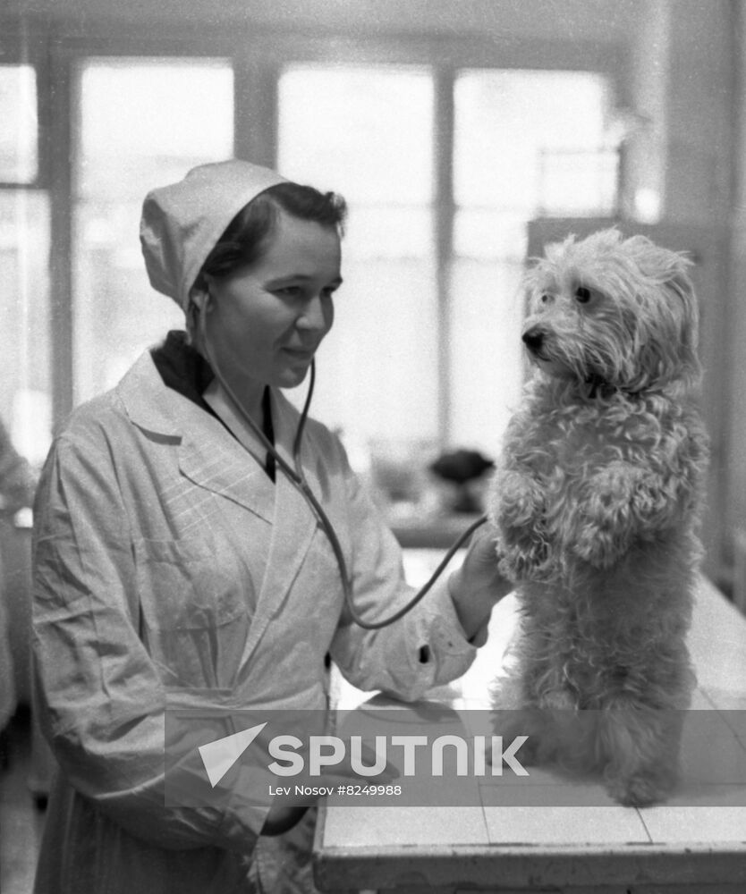 Veterinary clinic in Moscow