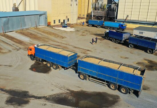 Russia Elevator Agricultural Complex