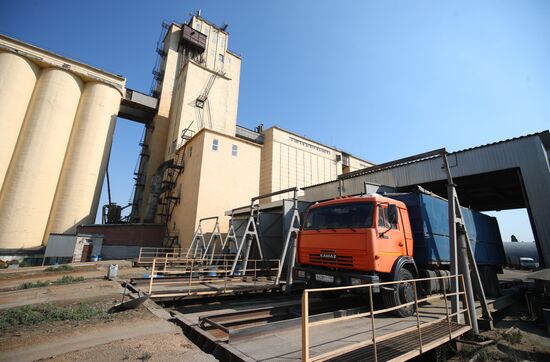 Russia Elevator Agricultural Complex