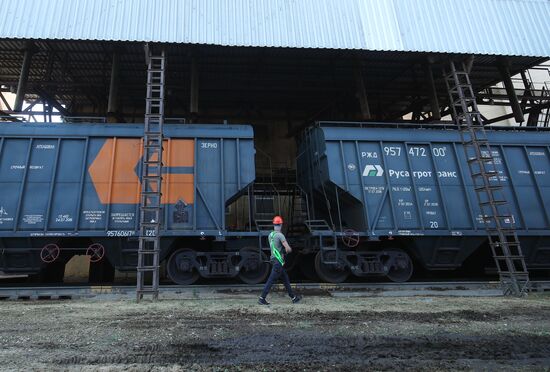 Russia Elevator Agricultural Complex